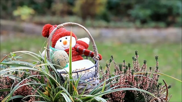 F&uuml;tterung V&ouml;gel im Winter 