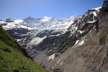 Fototapeta na wymiar Fiescherhörner mit Grindelwaldgletscher