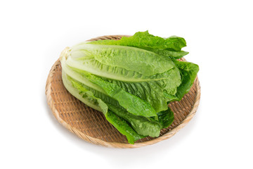 ロメインレタス