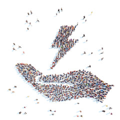 Palm with a zipper. © tai111