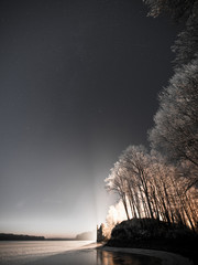night sky with stars in the winter night with trees. vintage