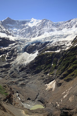 Fiescherhörner mit Grindelwaldgletschersee