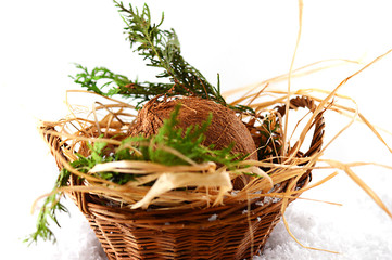 basket with coconut