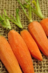 Babykarotten