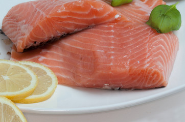 Tranches de filets de saumon dans une assiette blanche