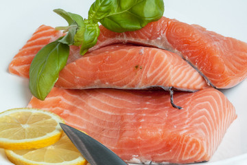 Tranches de filets de saumon dans une assiette blanche