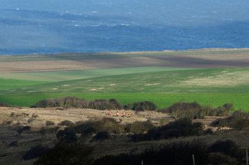 Fototapeta premium battue