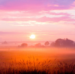 Burning Sunset Grass Land