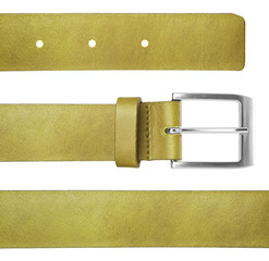 Belt isolated ion white background