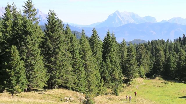 Wandern - 003 - Wanderer - Boesenstein