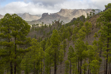 Mountains of Gran Canary