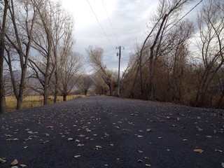 The Lonely Country Road