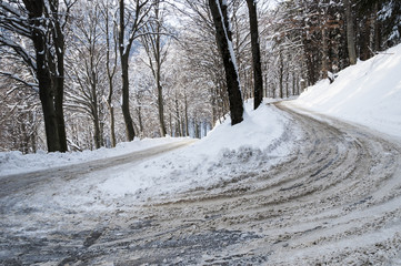 Obraz premium Street in the forest with snow, Varese
