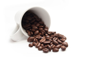 Kaffee- und Bohnenkonzept