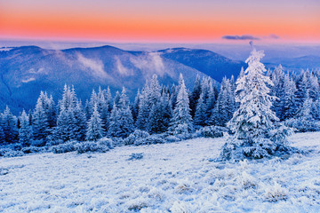 Obraz premium sunny winter landscape