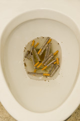 Cigarettes In the Toilet