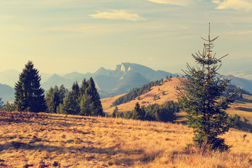 autumn mountain landscape, vintage look