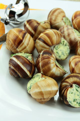 escargots