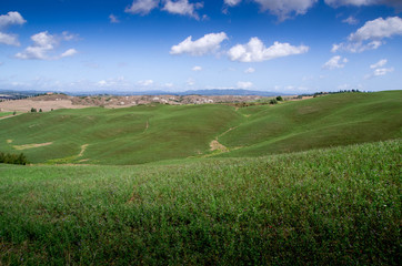 Obraz premium prairie toscane crete senesi