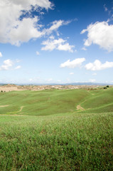 Obraz premium prairie toscane crete senesi