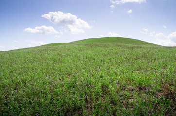 prairie toscane crete senesi