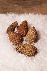 Christmas decoration with pine cones