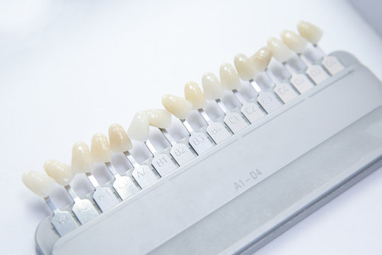 False Teeth Color Samples