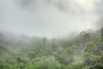 Fototapeta na wymiar Misty morning at Nagarkot