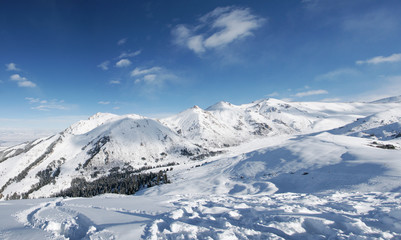 Fototapeta na wymiar winter panoramic landscape