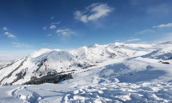winter panoramic landscape