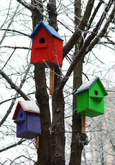 Bird house in winter