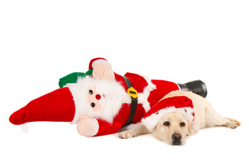 Exhausted Santa and his labrador flat on the ground