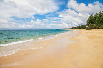 Exotic tropical beach.