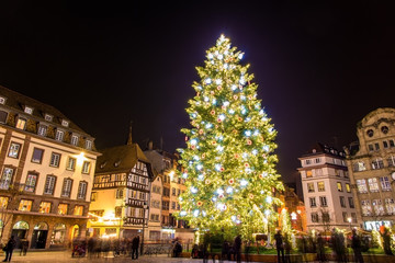 Christmas tree in Strasbourg, "Capital of Christmas" - 2014