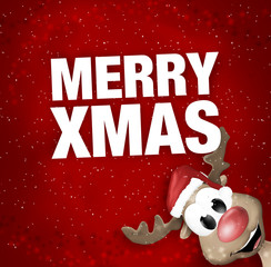 Christmas Winter Design