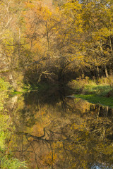 Creek In Autumn