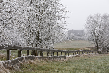 Fototapeta premium hoarfrost winter landscape