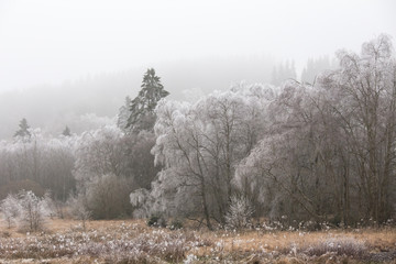 hoarfrost winter landscape