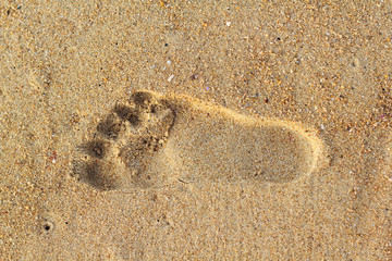 Footprints in the sand