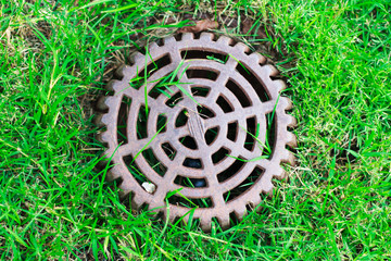 Cover Drain on a green lawn