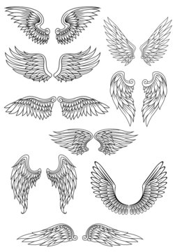 Naklejka Heraldic bird or angel wings set