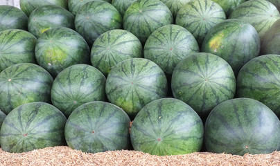 Pile watermelon