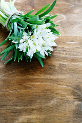 spring snowdrops on wooden background