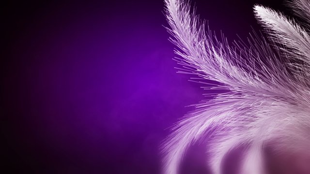 White frost growing in the deep violet fog seamless loop