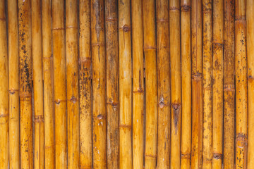 Bamboo background