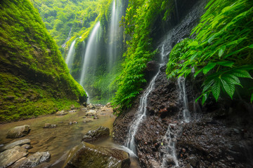 Beautiful Madakaripura waterfall
