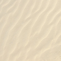 Fototapeta na wymiar Sand texture, natural pattern background
