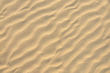 Fototapeta na wymiar Sand texture, natural pattern background