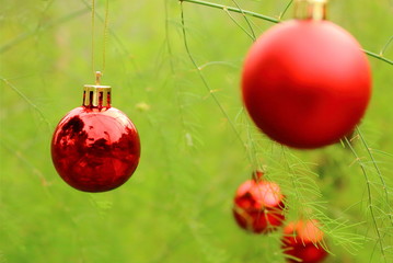 christmas ball hanging on the pine tree
