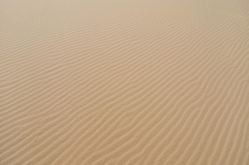 Obraz premium sand texture background